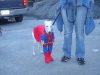 super.jpg