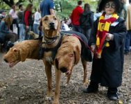 potter.jpg