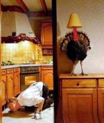 Night Before Thanksgiving.jpg