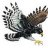 Hawk